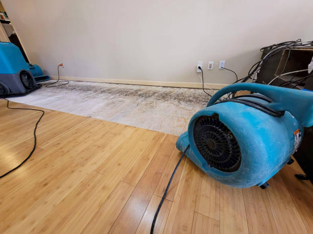 Professional Water Extraction technician working in Mastic, NY